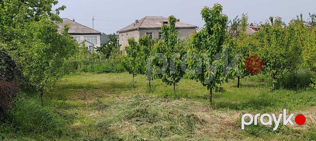Satılır torpaq 6 sot — Torpaq, Quba (3)