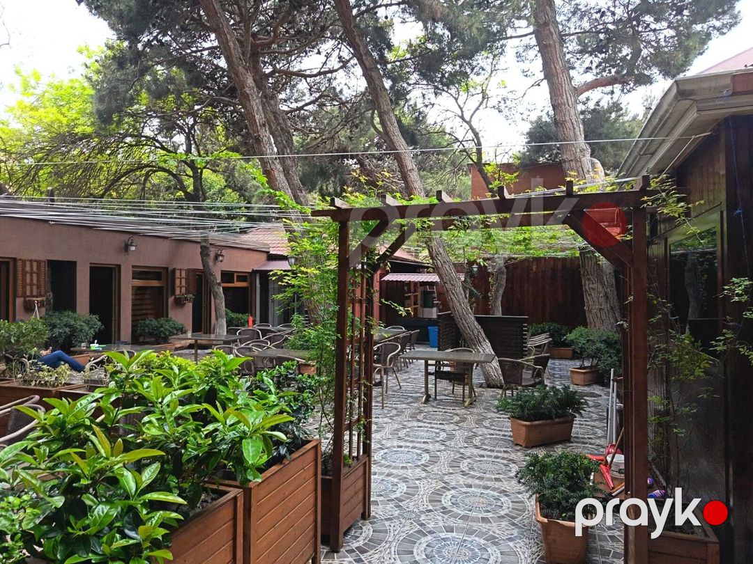 İcarəyə verilir obyekt 1000 m² — Əmlak, Bakı (2)