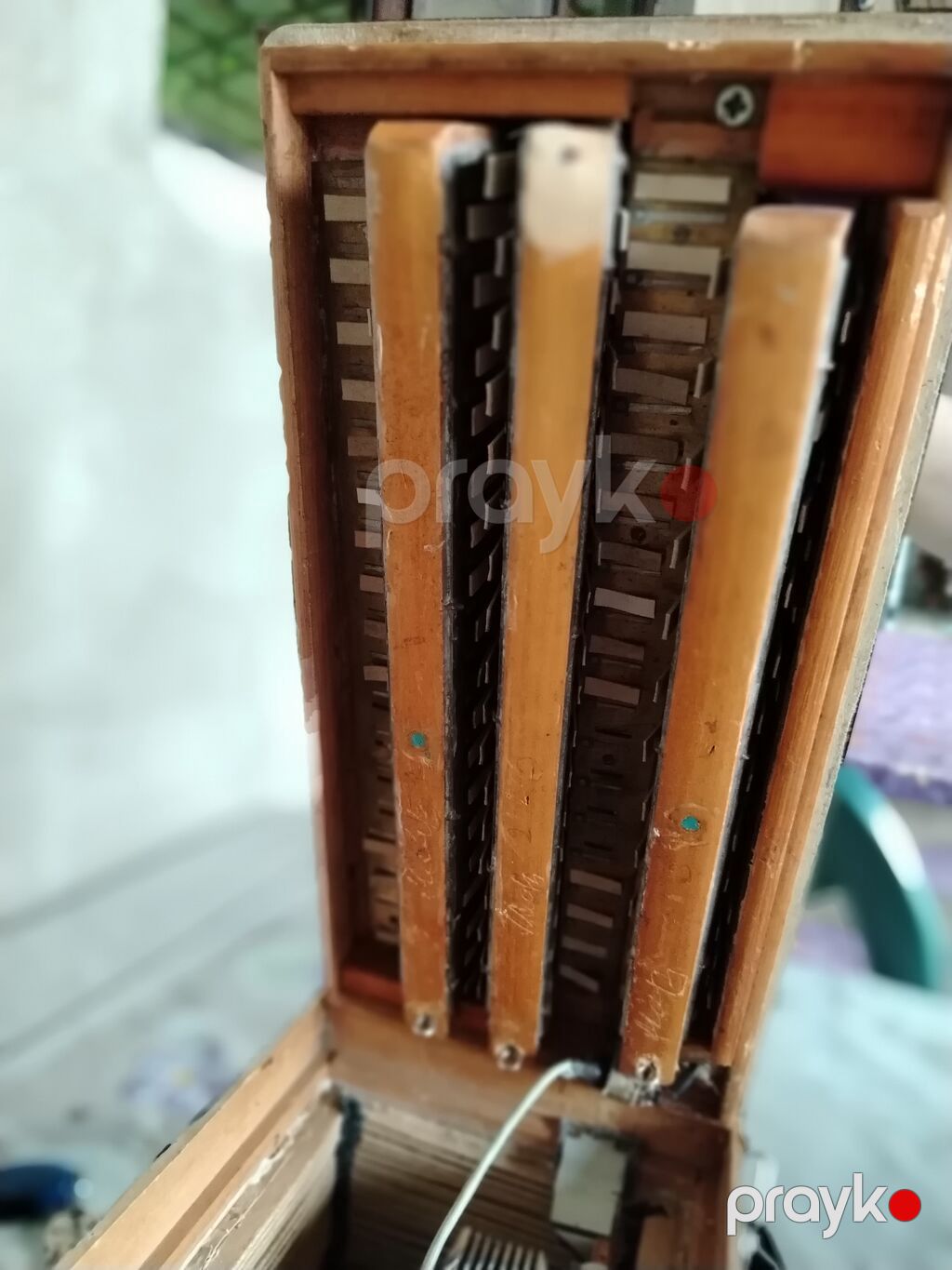 Qarmon, Akustik, İşlənmiş — Akkordeonlar, harmonilar, bayanlar, Xudat (3)