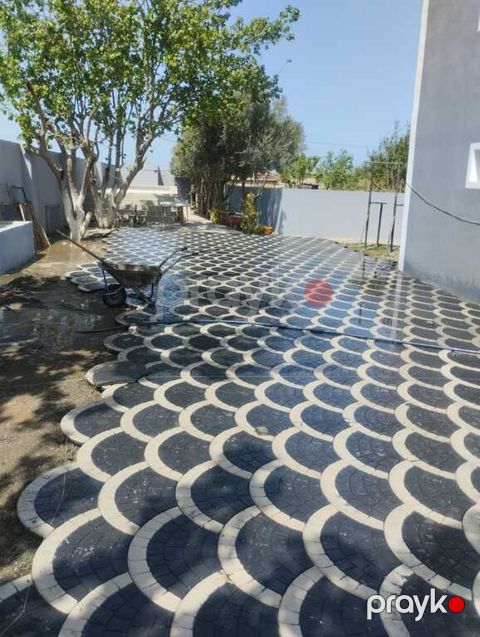 Tamet və metlax işi — Bakı