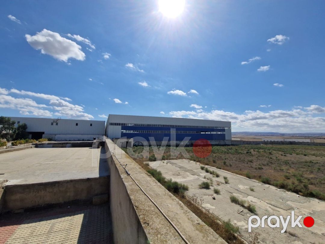 İcarəyə verilir obyekt 2900 m² — Əmlak, Bakı (2)