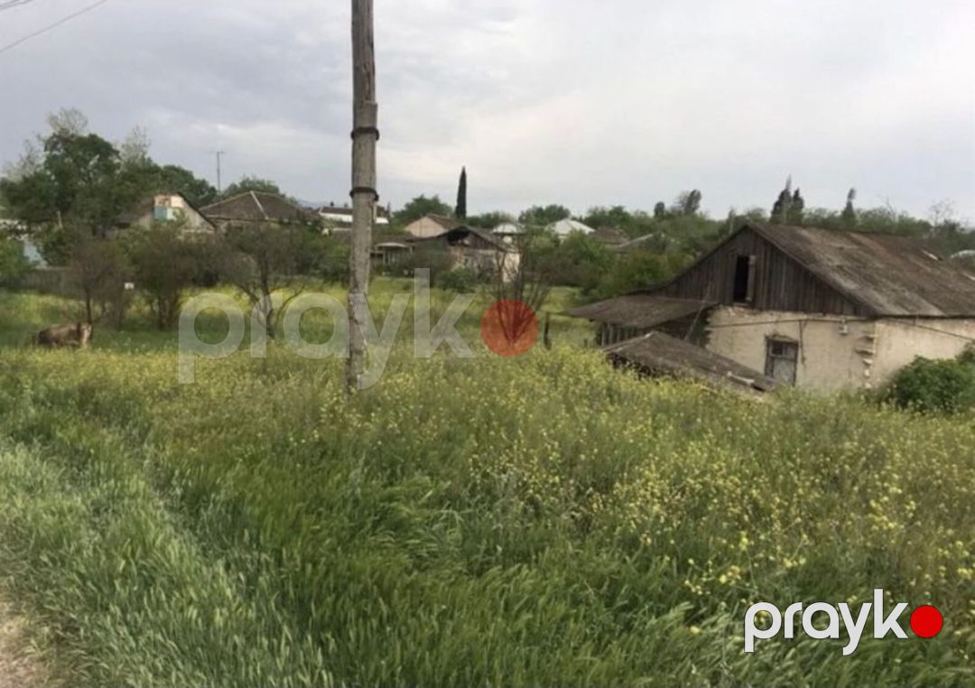 Satılır torpaq 14 sot — Torpaq, Tovuz (2)