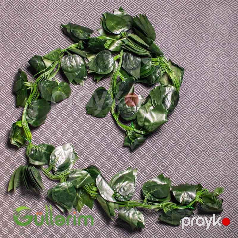 Dekorativ Sarmaşıq — Dekor və interyeri, Bakı (6)