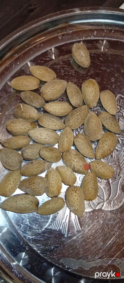Məhsul: Qabıqda badam (bütöv) Təsvir: - Təbii, sərt qabıqlı badamlar — Digah