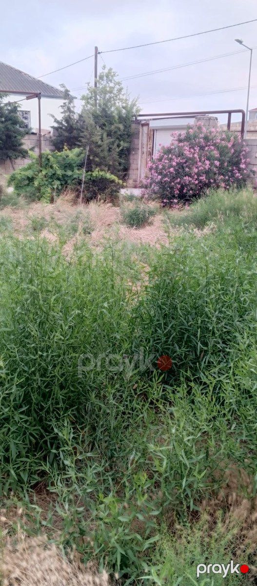 Həyət evi, Kürdəxanı qəs — Ev, villa, Bakı (10)