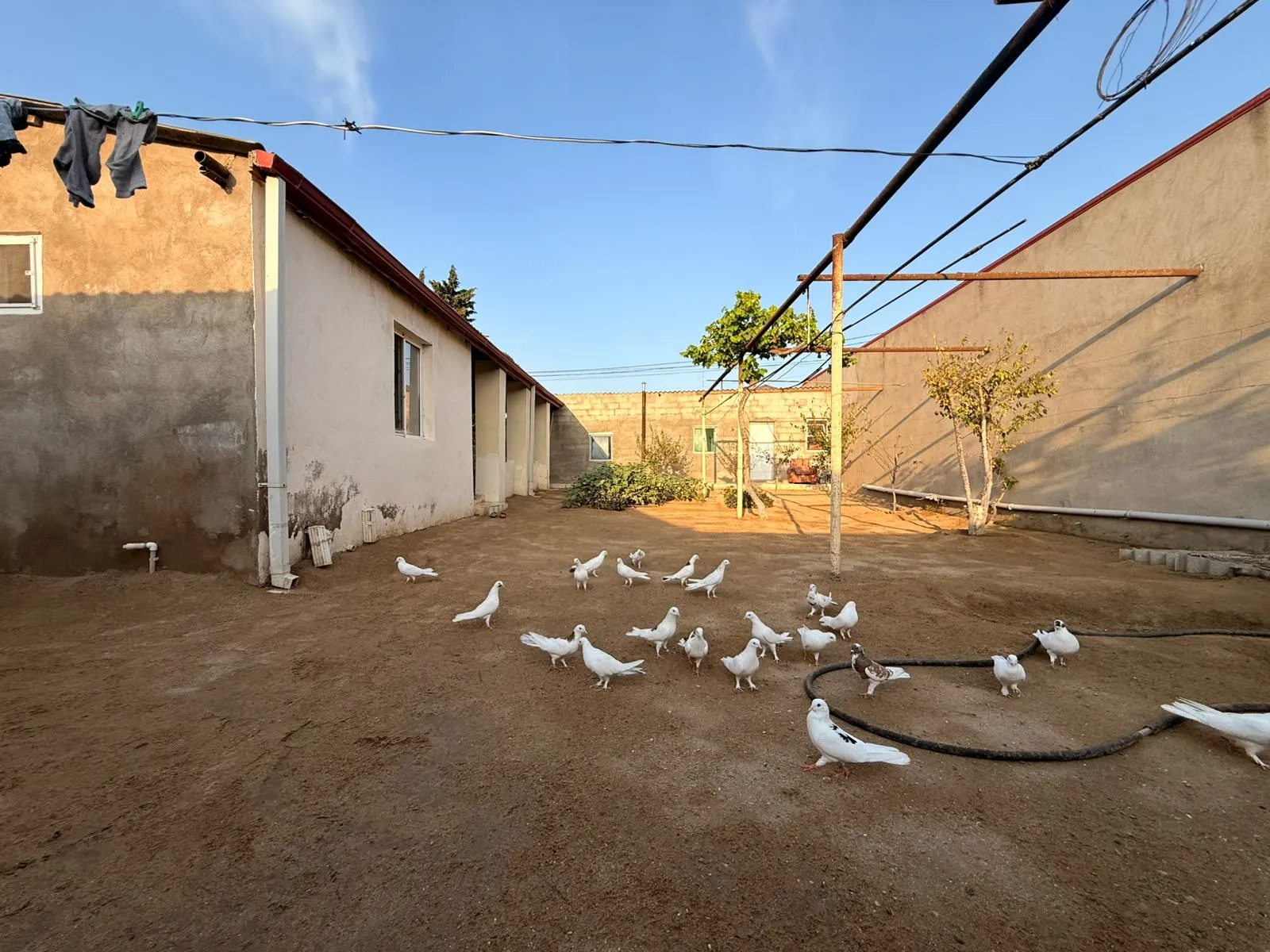 Şüvəlan, Torpaq satılır - 5 sot — Bakı
