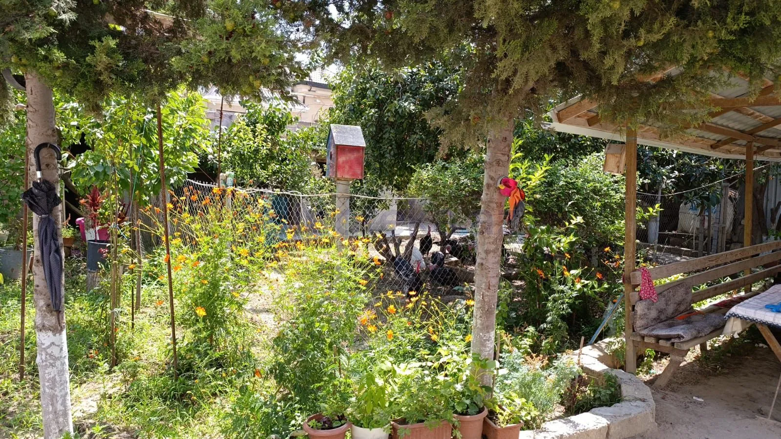 Satılır: Torpaq, Abşeron r., Masazır q., 3.00 sot — Torpaq, Masazır (7)