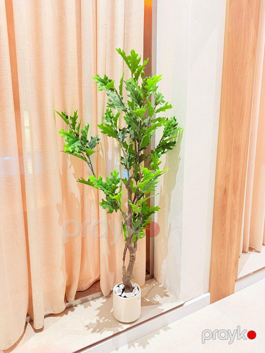 İcarəyə verilir 4 otaqlı həyət evi/bağ evi 240 m² — Ev, villa, Bakı (12)