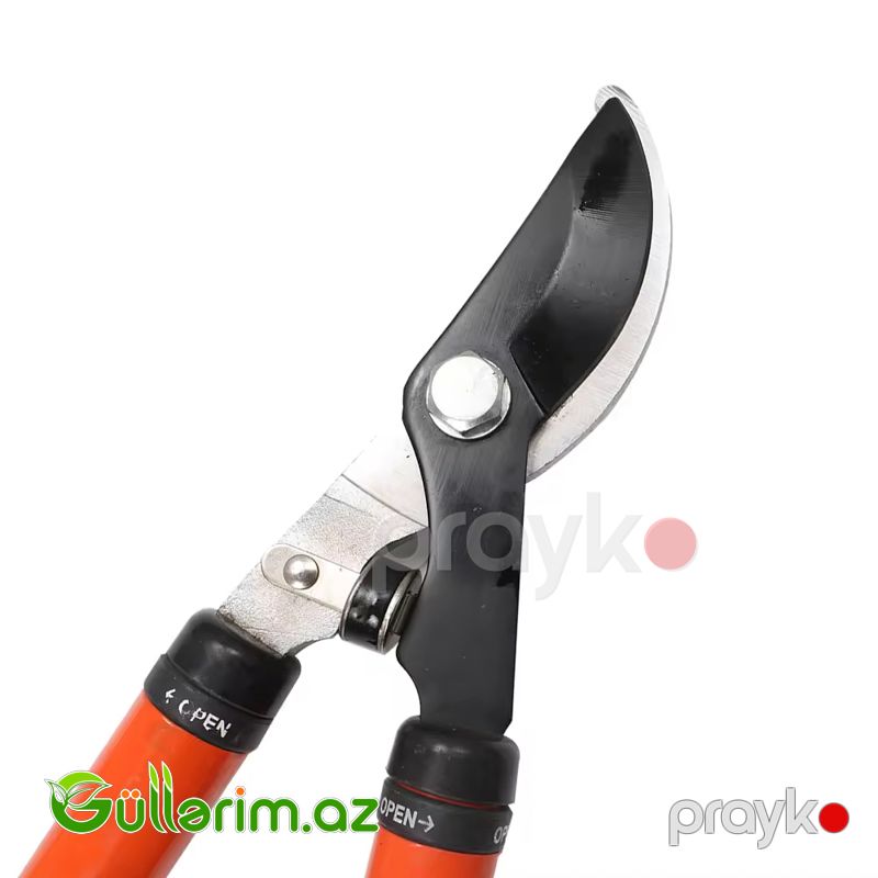 Elite Professional (Bağ Budama Qayçısı) — Bağ aləti, Bakı (2)