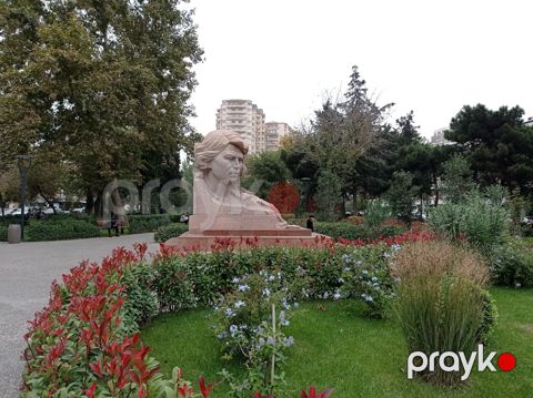 2-otaqlı mənzil kirayə verilir, Gənclik m., 40 m² — Bakı
