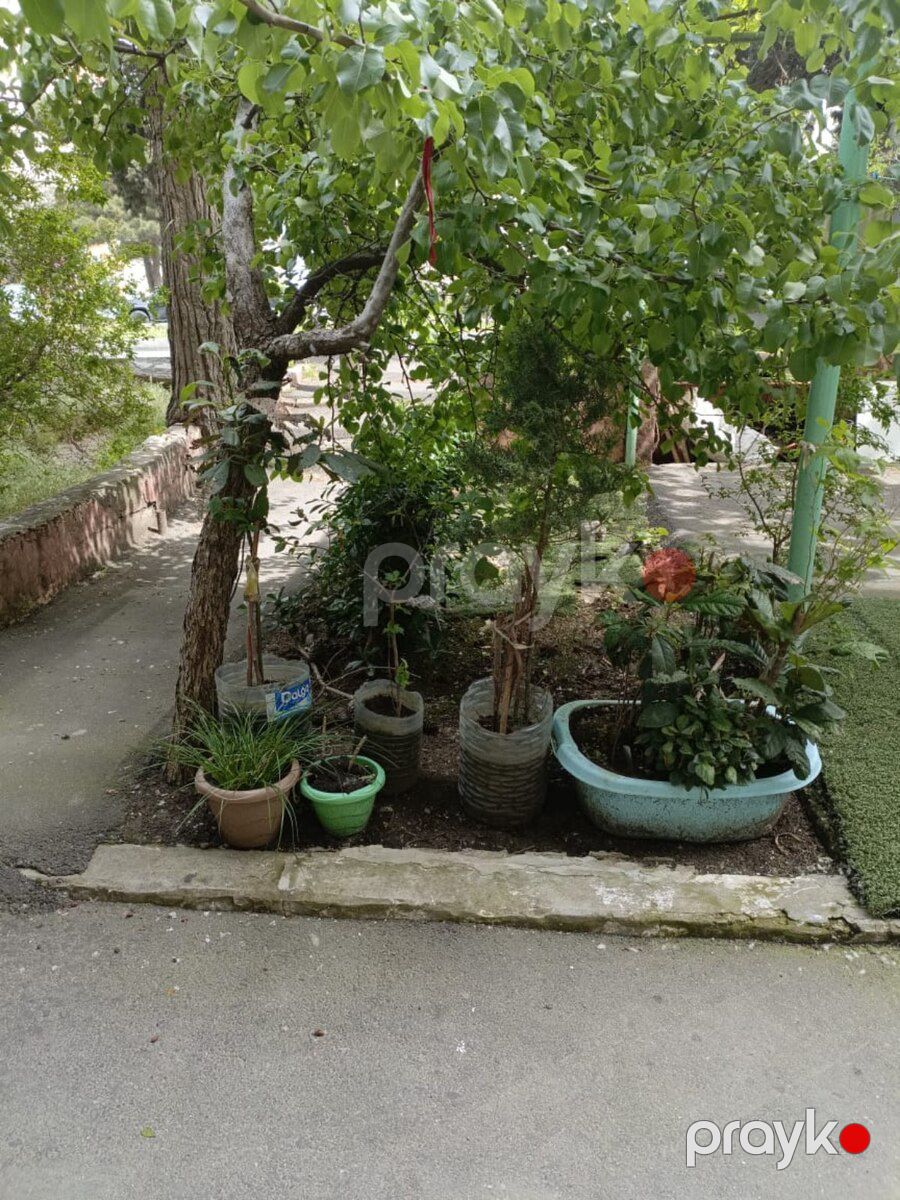4-otaqlı mənzil, Neapol dairəsi, 100 m² — Mənzil, Bakı (4)