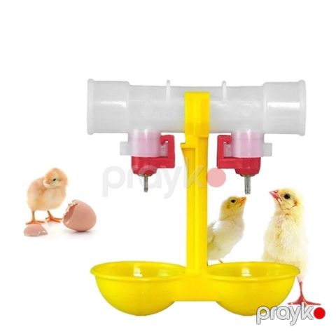 Toyuqlar üçün su qabı — Bakı