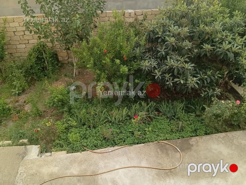 Satılır Torpaq sahəsi, 10 sot, Novxanı bağ massivi — Torpaq, Sumqayıt (8)