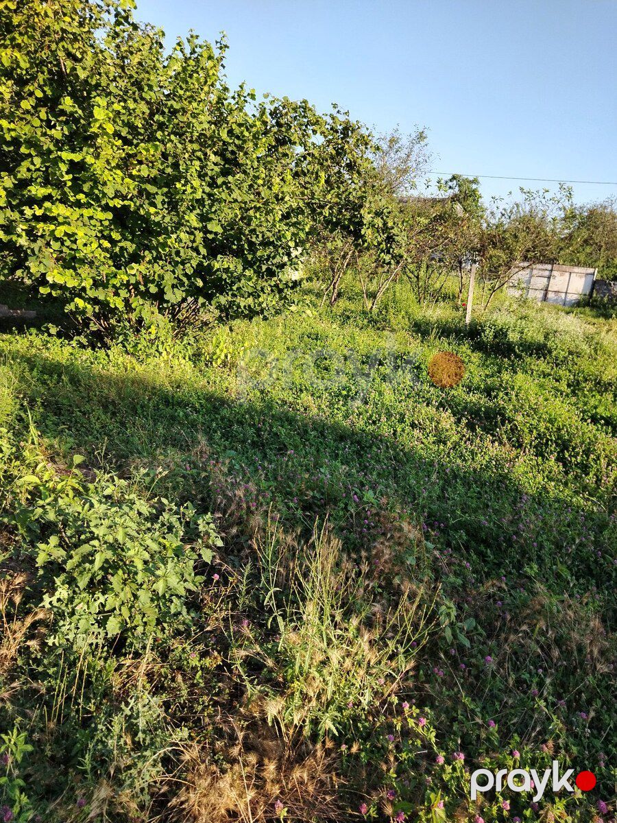 Həyət evi, Oğuz r — Ev, villa, Oğuz (6)