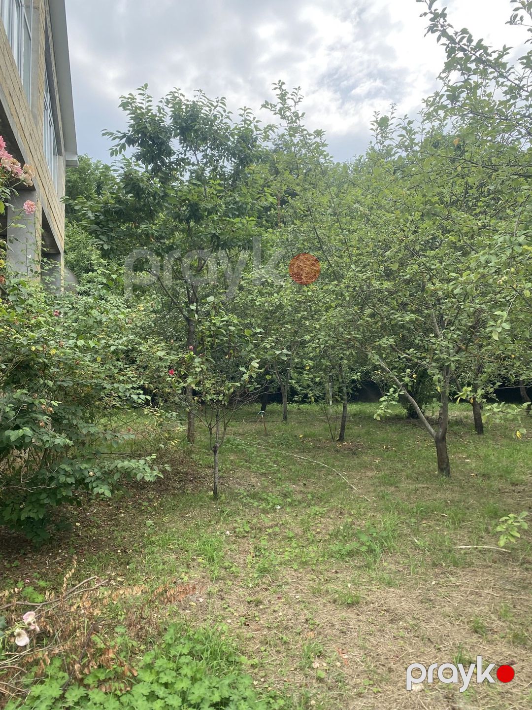 İcarəyə verilir 5 otaqlı həyət evi/bağ evi 246 m² — Ev, villa, Quba (3)