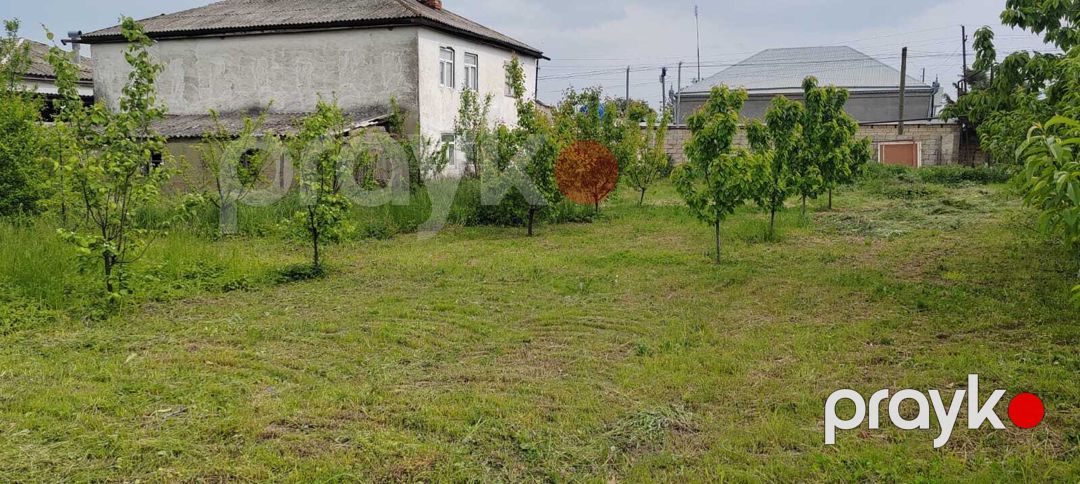 Satılır torpaq 6 sot — Torpaq, Quba (9)