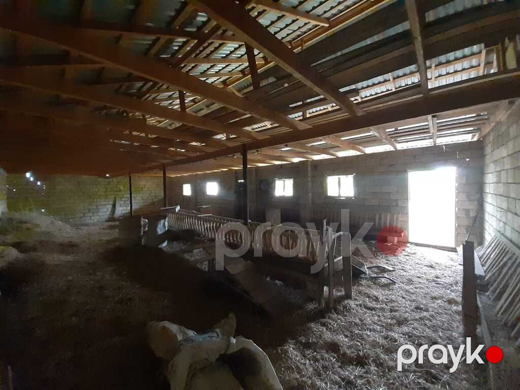Satılır 6 otaqlı həyət evi/bağ evi 550 m² — Ev, villa, Bakı (5)