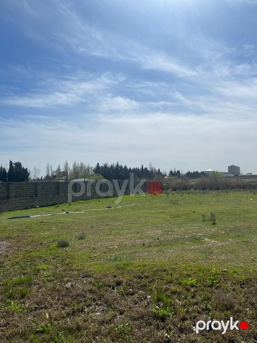 Satılır torpaq 200 sot — Torpaq, Bakı (5)