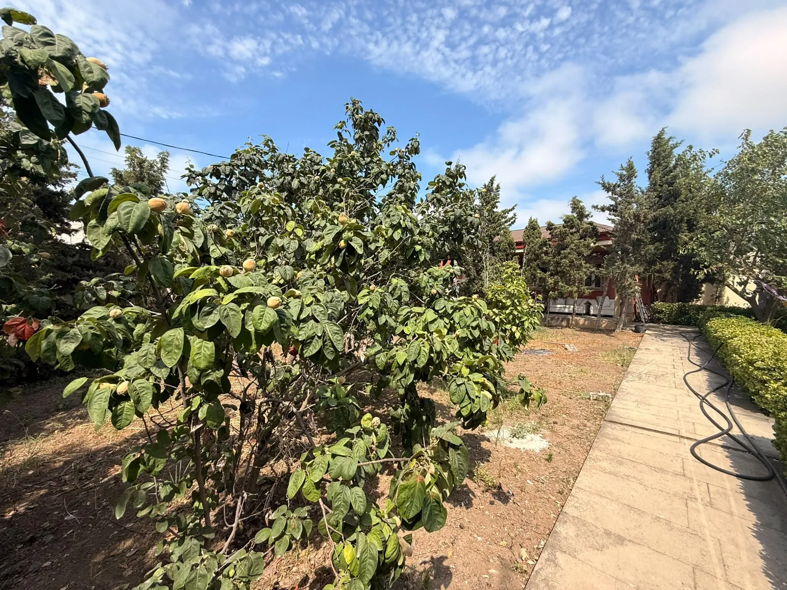 Mərdəkan, Torpaq satılır - 12 sot — Torpaq, Bakı (6)