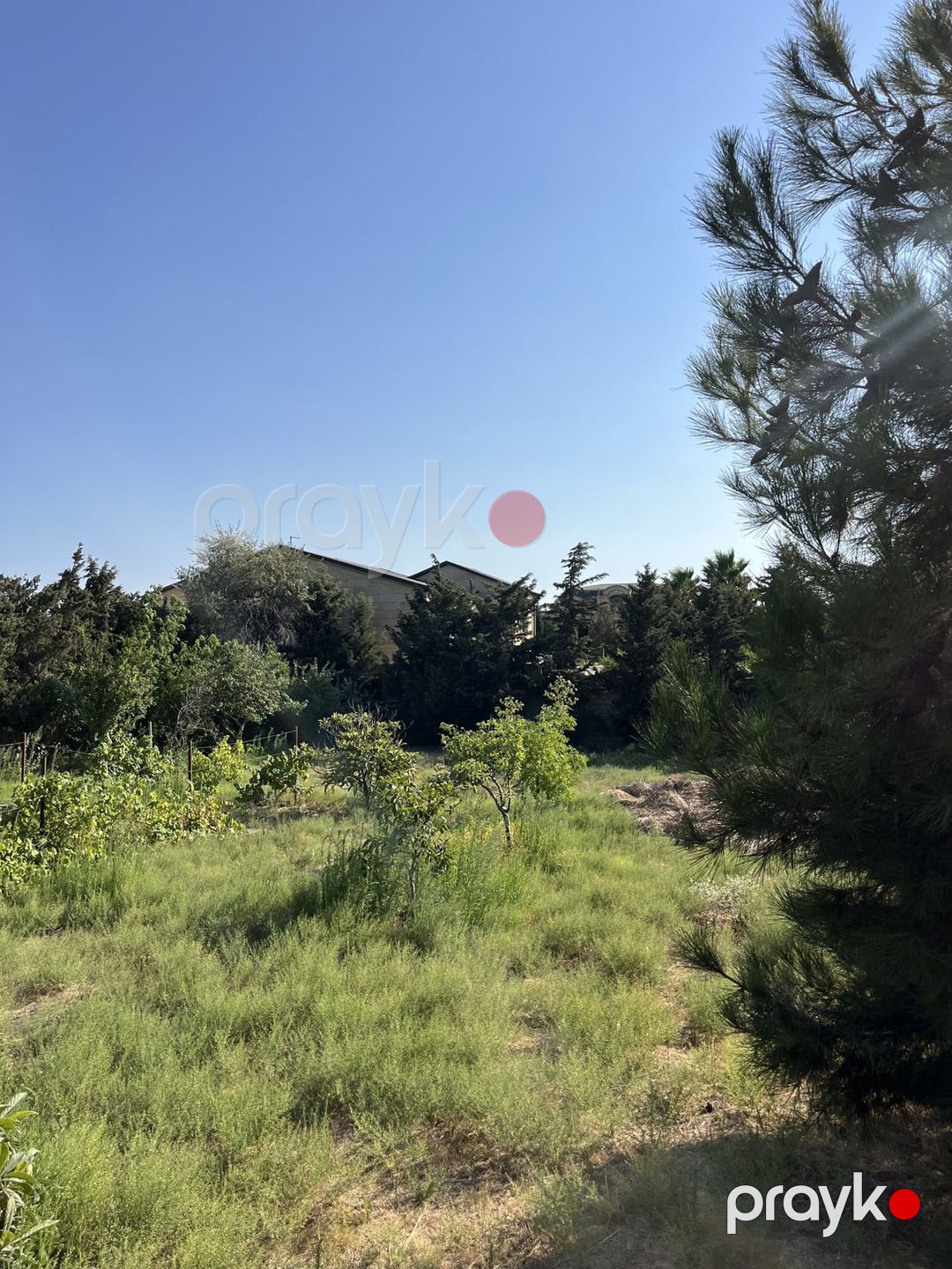 Satılır torpaq 3 sot — Torpaq, Bakı (4)