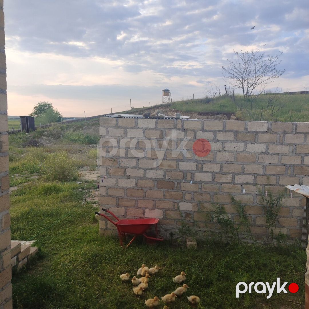 Həyət evi, Gəncə ş — Ev, villa, Gəncə (2)