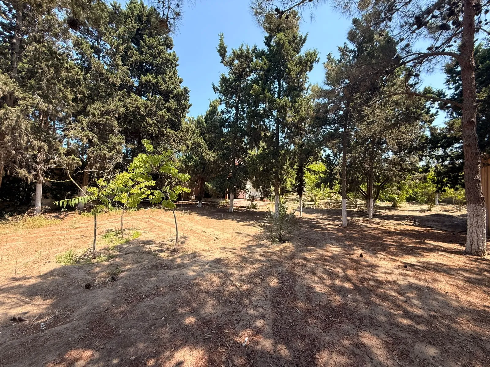 Mərdəkan, Torpaq satılır - 8 sot — Torpaq, Bakı (7)