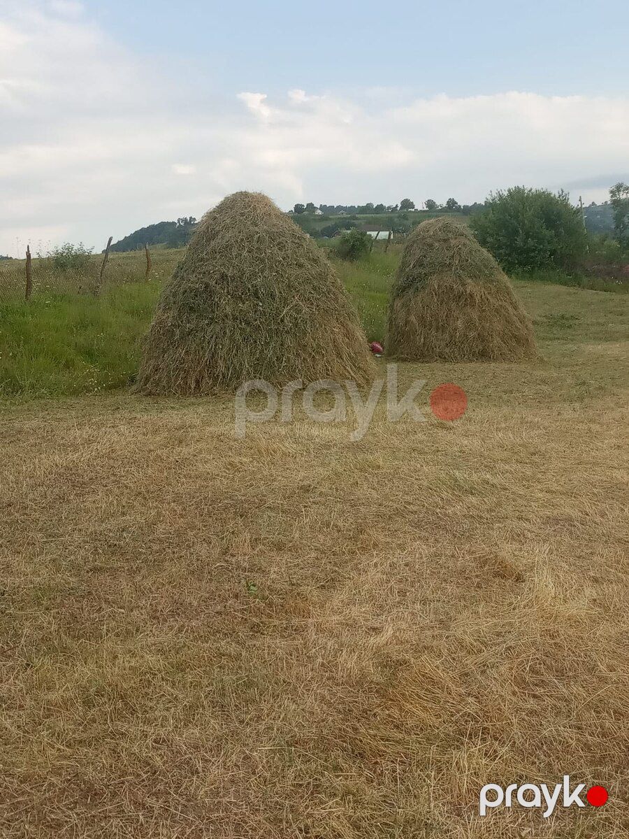 32 sot torpaq sahəsi, Tovuz r — Torpaq, Tovuz (2)