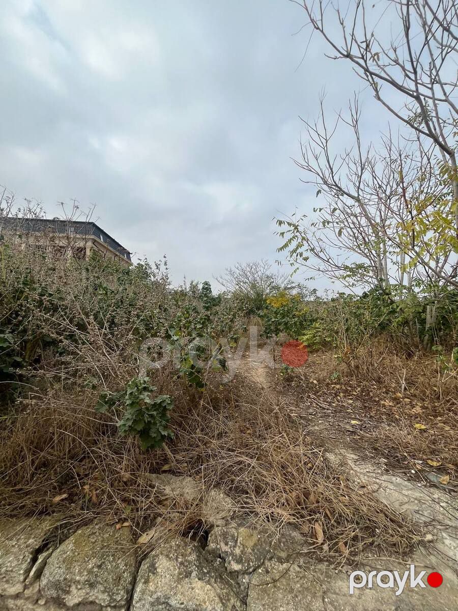 Satılır torpaq 14 sot — Torpaq, Bakı (9)