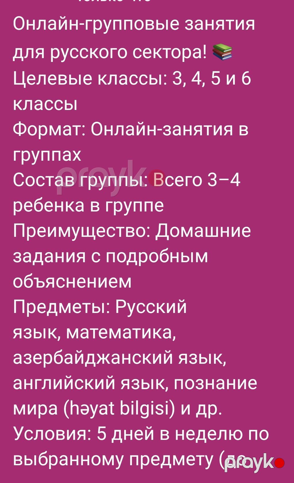 Repetitor, Rus dili — Fərdi dərslər, Digah (2)
