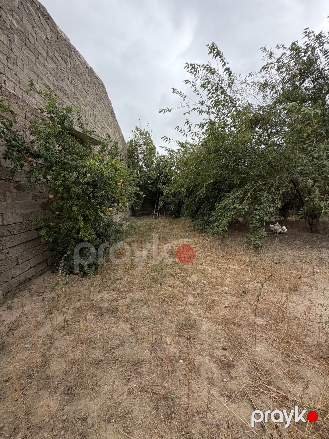 Satılır torpaq 3 sot — Torpaq, Bakı (4)