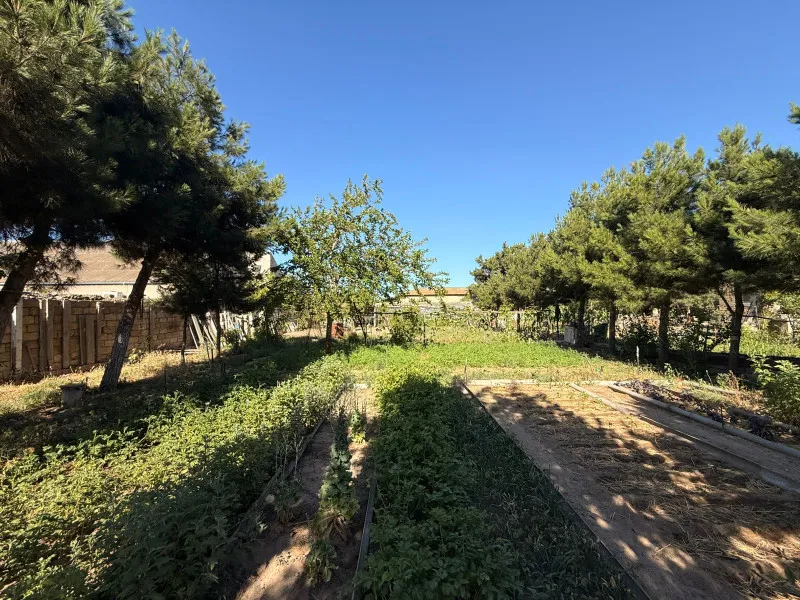 Şağan, Torpaq satılır - 7 sot — Bakı