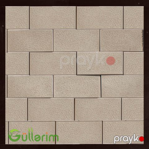 Tamet 091 — Bakı