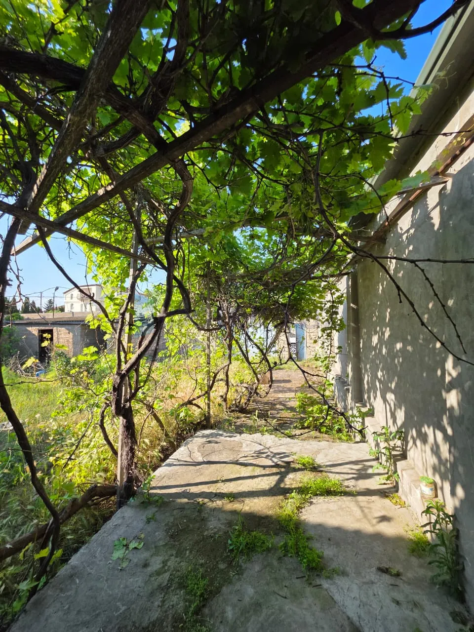 Satılır: Torpaq, Xəzər r., Şüvəlan q., 6.00 m² — Torpaq, Şüvəlan (3)