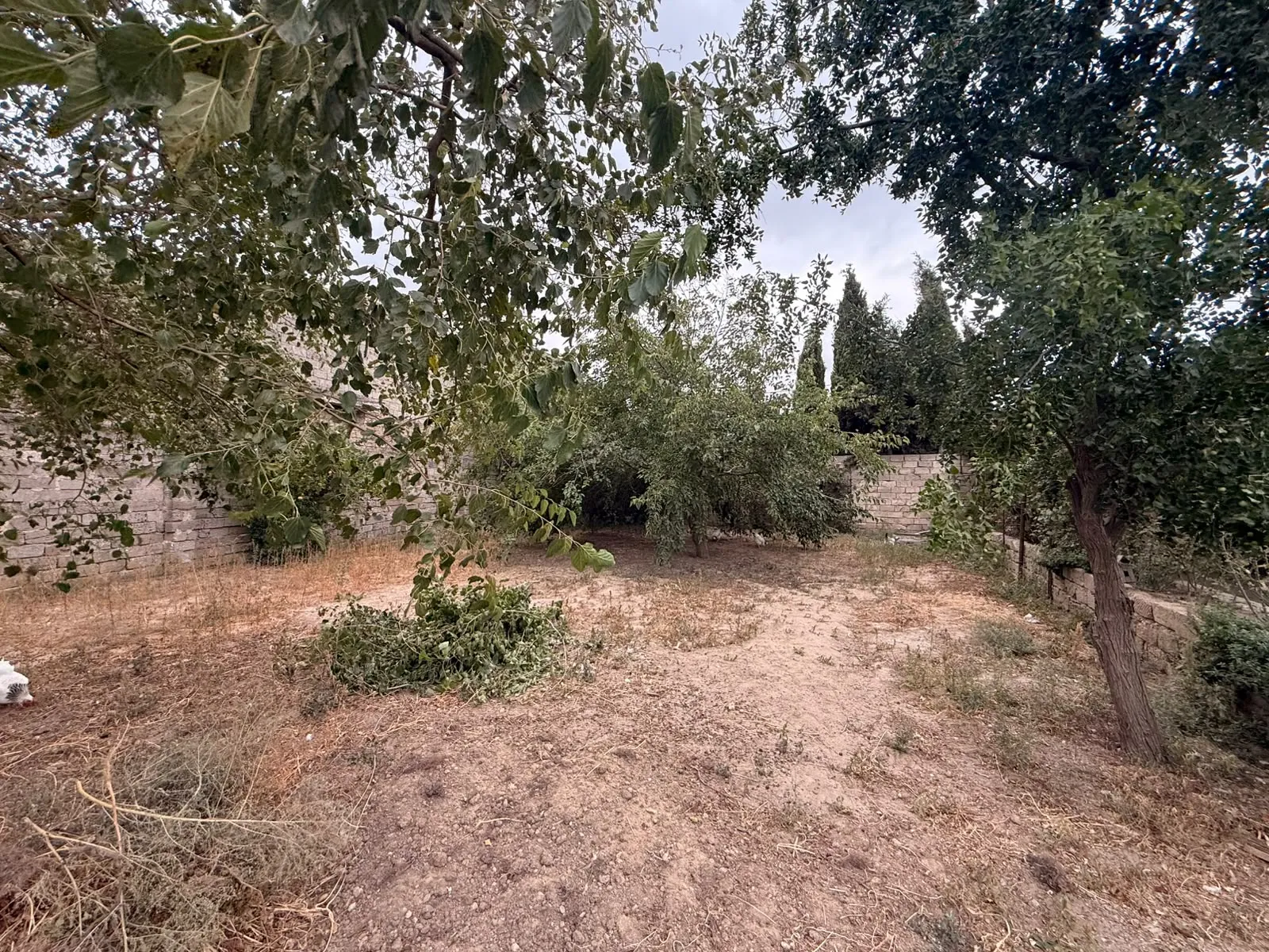 Mərdəkan, Torpaq satılır - 3 sot — Torpaq, Bakı (4)