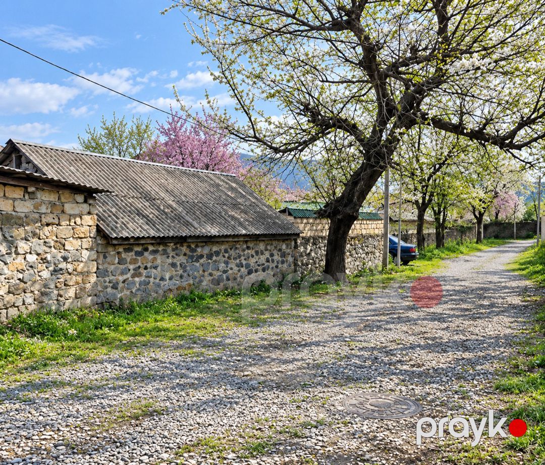 Satılır torpaq 7 sot — Torpaq, Qəbələ (3)