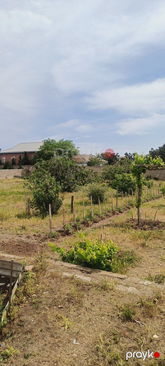 Satılır torpaq 40 sot — Torpaq, Bakı (2)