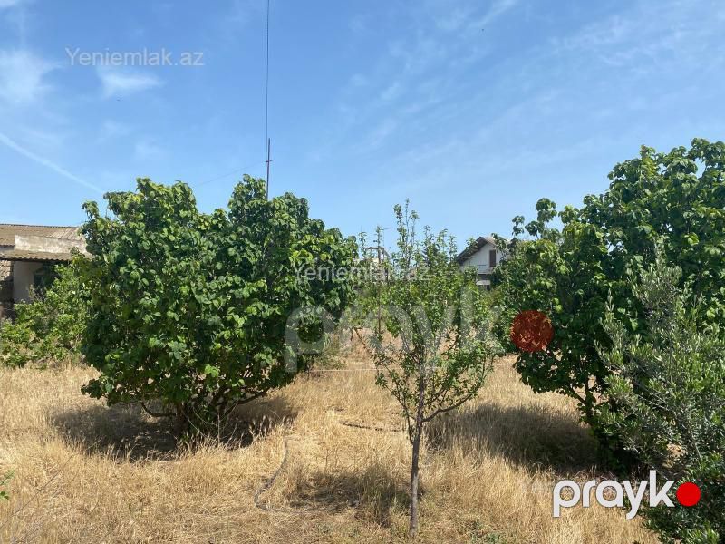 Satılır Torpaq sahəsi, 13 sot, Xəzər rayonu — Torpaq, Bakı (5)