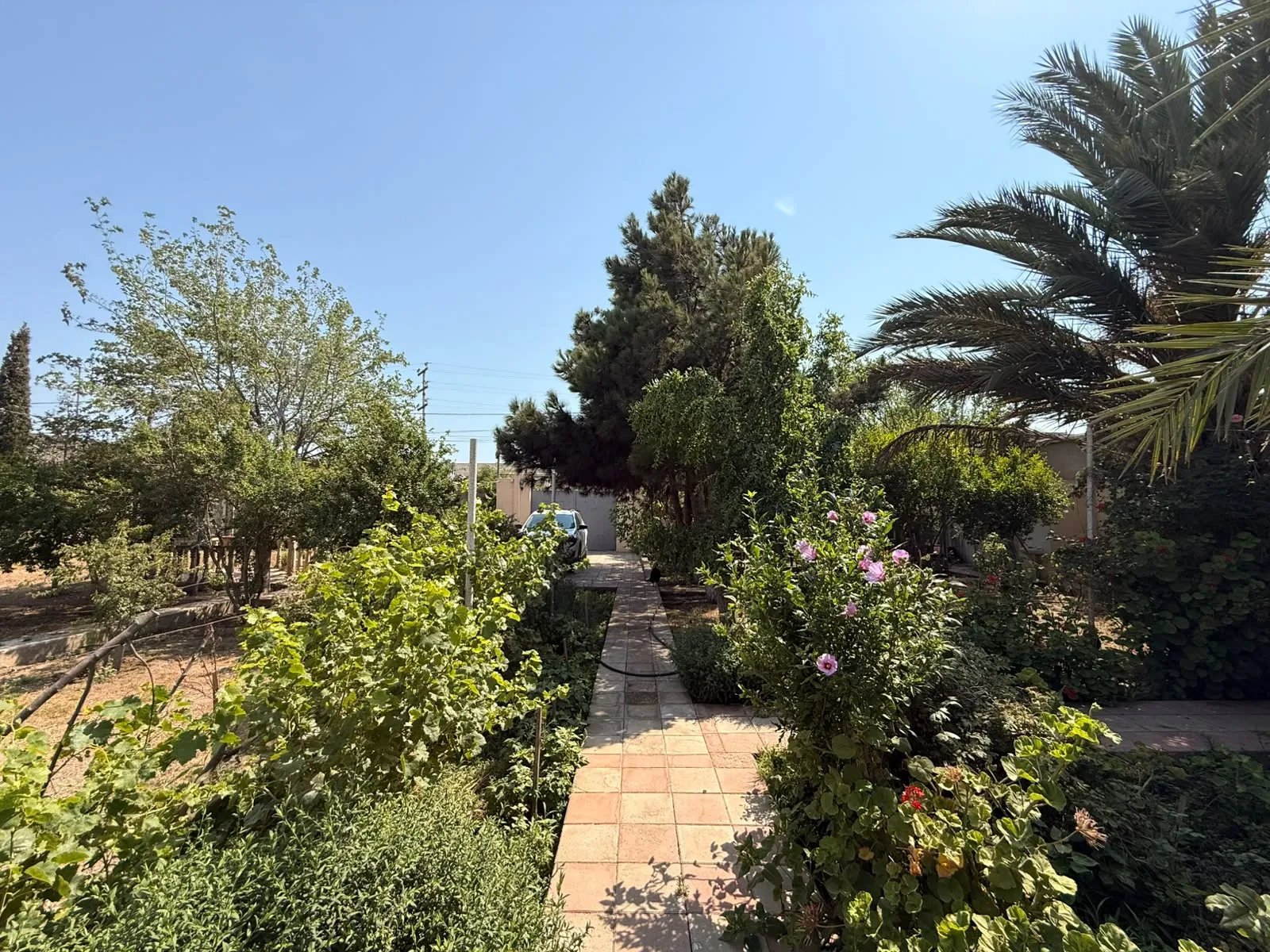 Şüvəlan, Torpaq satılır - 6 sot — Torpaq, Bakı (4)