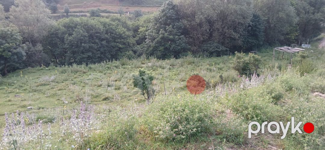 15 sot torpaq sahəsi, Qusar ş — Torpaq, Qusar (7)