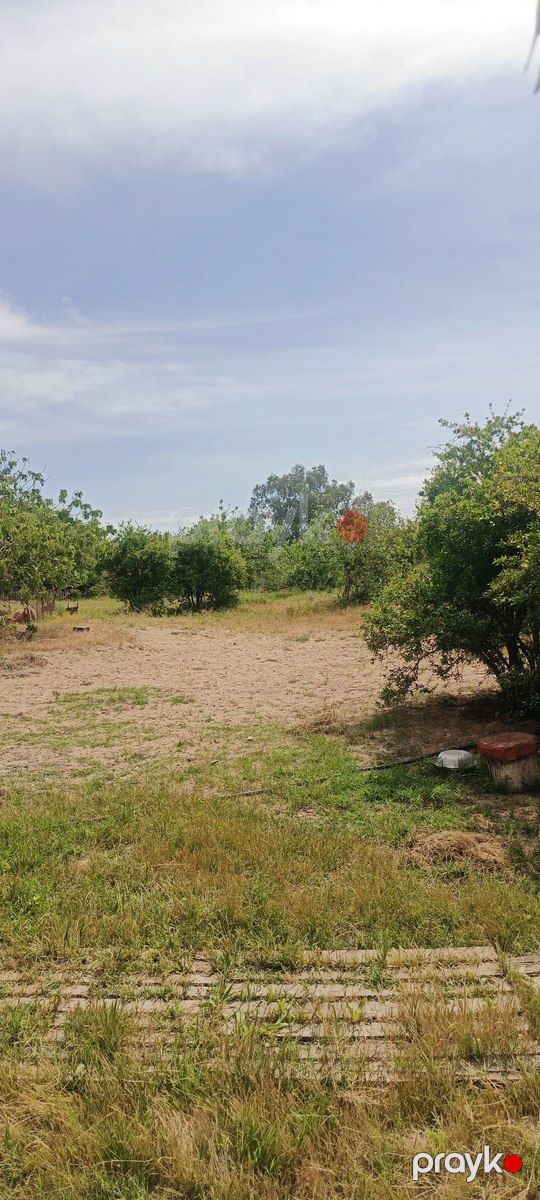 Satılır torpaq 40 sot — Torpaq, Bakı (4)