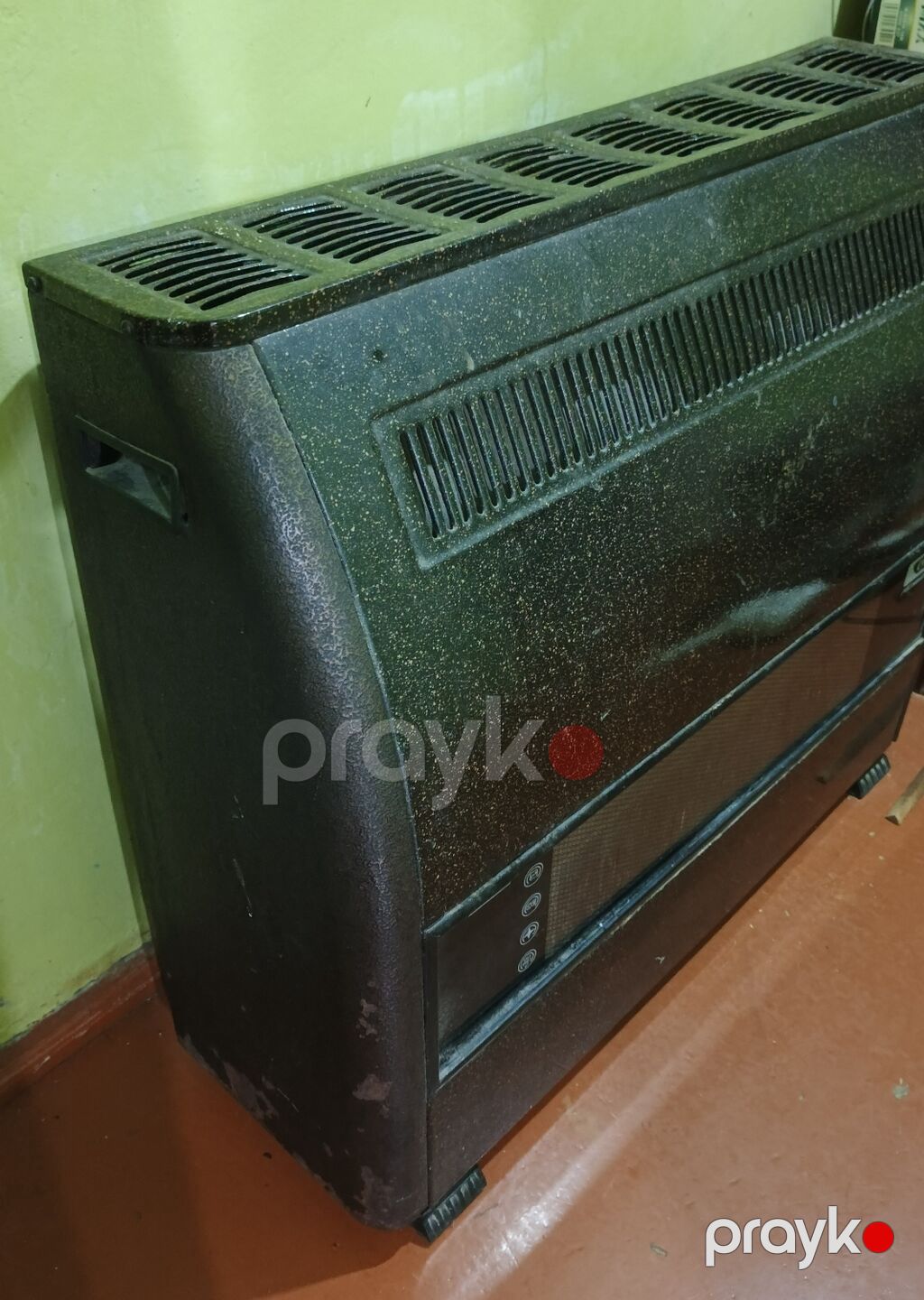 Ceyran peçi — Radiatorlar, Masazır (2)