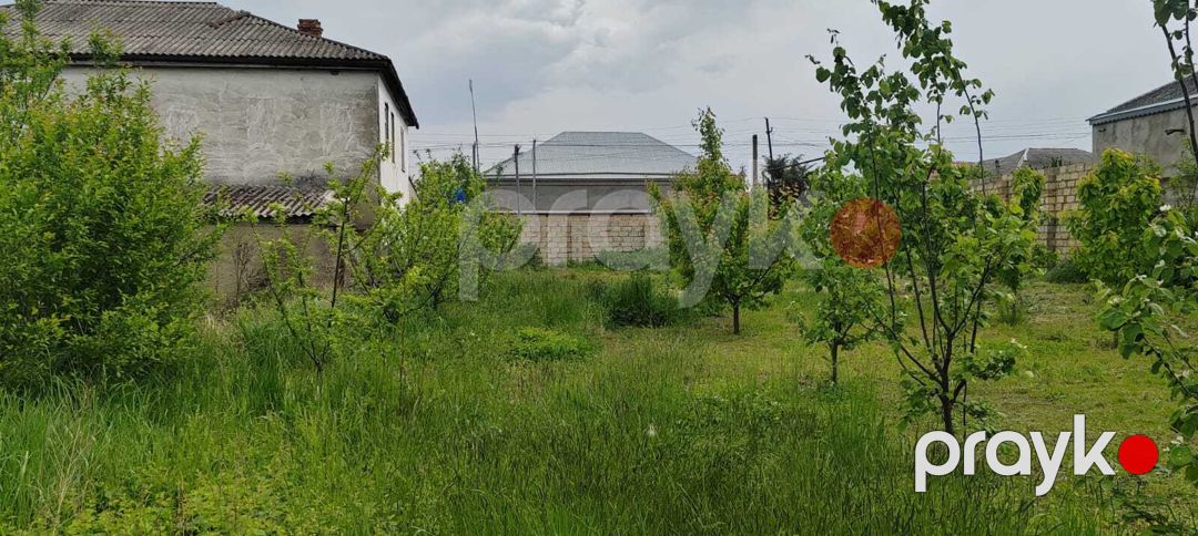 Satılır torpaq 6 sot — Torpaq, Quba (6)
