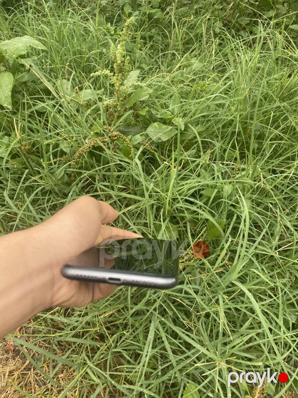 IPhone 11, Qara, Simsiz şarj — Apple iPhone, Bərdə (6)