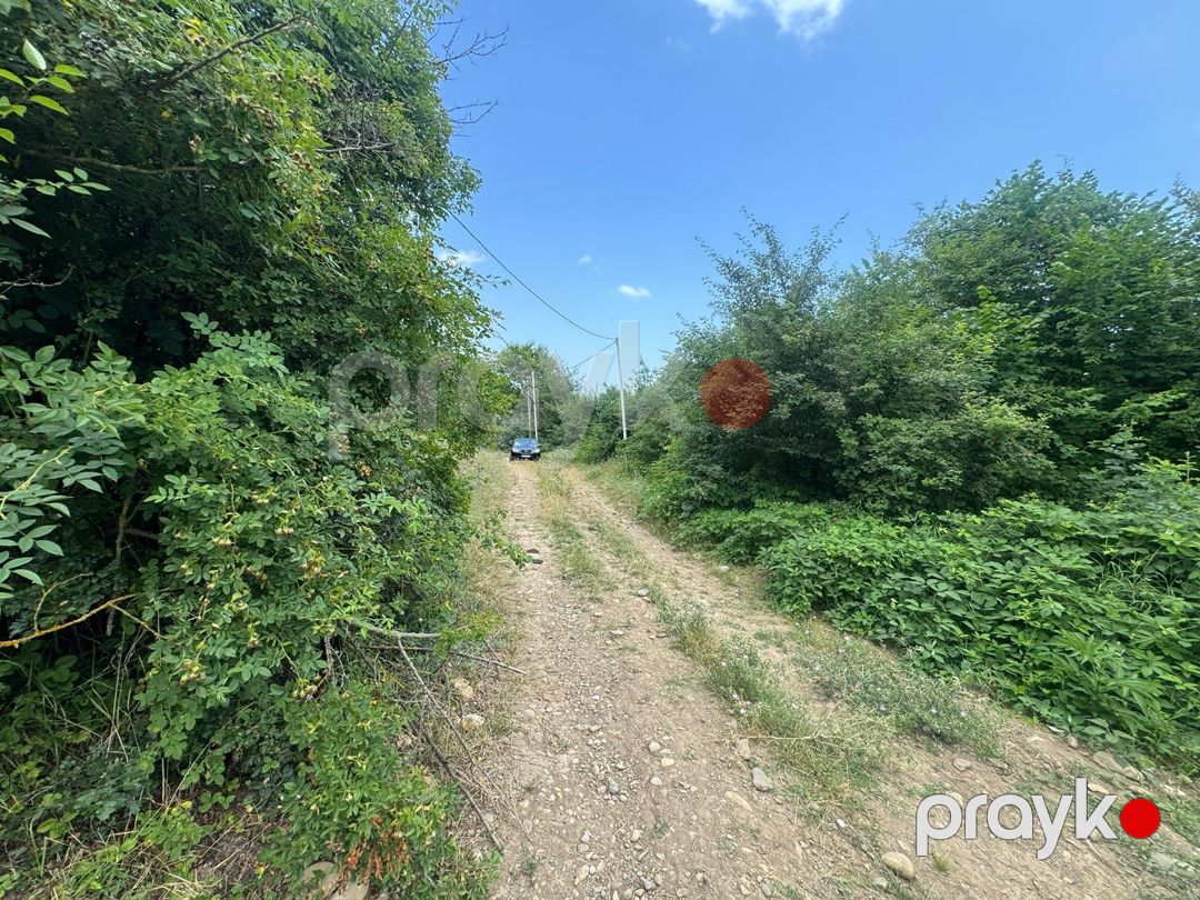 12 sot torpaq sahəsi, Qusar r — Torpaq, Qusar (4)