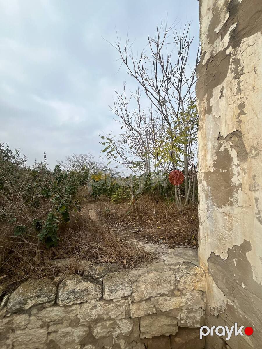 Satılır torpaq 14 sot — Torpaq, Bakı (8)