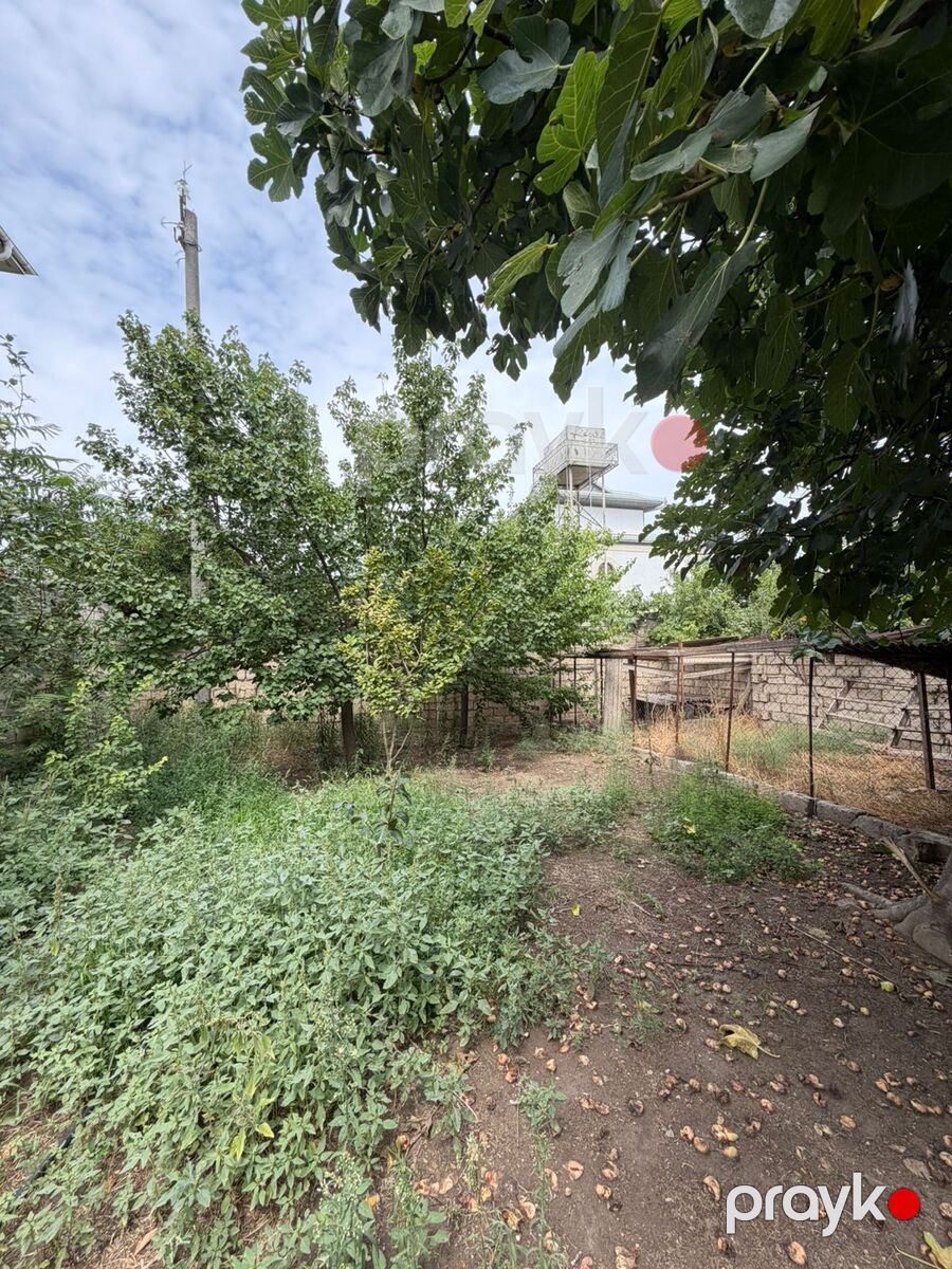 Satılır torpaq 4 sot — Torpaq, Bakı (4)