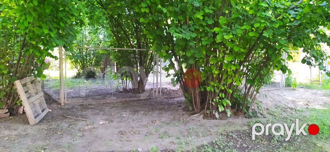 Həyət evi, Oğuz r — Ev, villa, Oğuz (10)