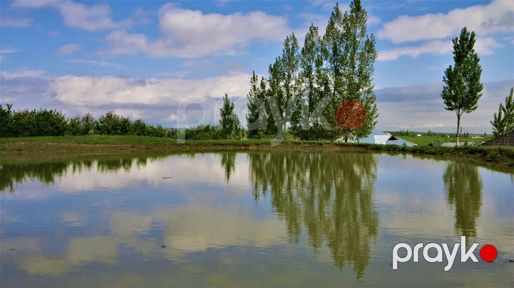 Canon 70D — Foto və video texnikası, Qusar (6)