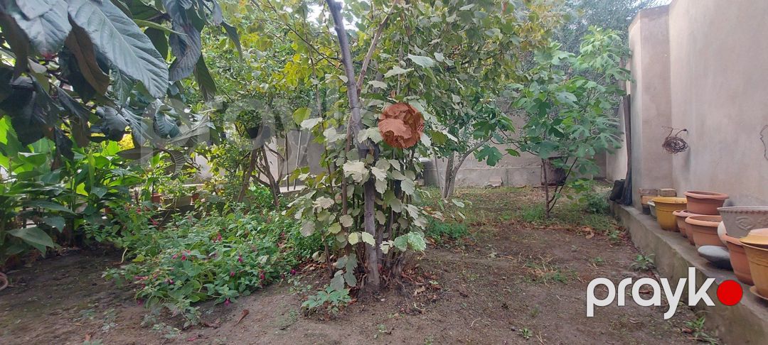Satılır 3 otaqlı həyət evi/bağ evi 117 m² — Ev, villa, Bakı (10)