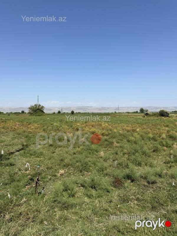 Satılır Torpaq sahəsi, 315 sot, Ağdaş — Torpaq, Ağdaş (4)